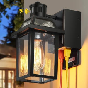 Dusk to Dawn Outdoor Light w/Outlet