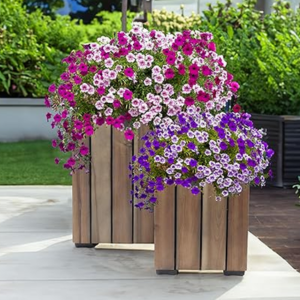 Set of 2 Acacia Wood Planters