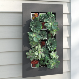 Sand & Stable Galvanized Steel Wall Planter