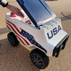 RC American Flag 30-Can Rover Cooler