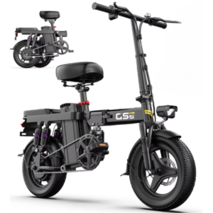 Foldable 48V 740W 30MPH Electric Bike