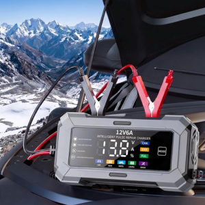 Automatic 12V 6A Car Battery Trickle Charger