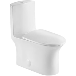 Dual Flush Elongated Standard One Piece Toilet