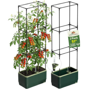 2-Pack 51
