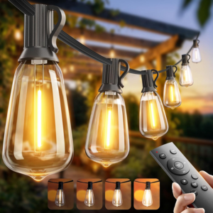 Dimmable 100' String Lights w/Remote