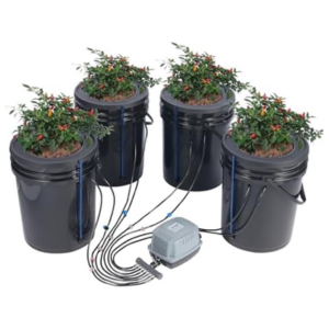 Hydroponics 5Gl. Grow System w/Top Drip Kit