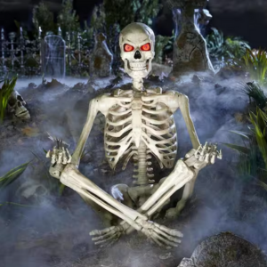 Home Accents 5' LED Poseable Skeleton