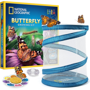 National Geographic Butterfly Growing Kit