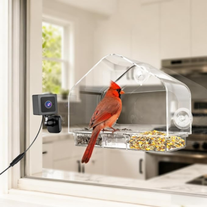 Window Mount Bird Feeder w/Camera