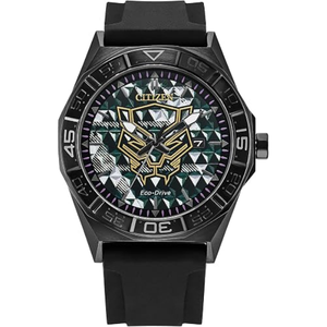 Citizen Eco-Drive Men's Watch