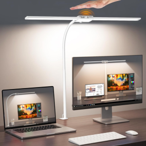 Double Head 12W LED Desk Lamp