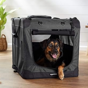 Amazon Basics Folding Pet Crate
