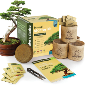 Bonsai Tree Growing Starter Kit