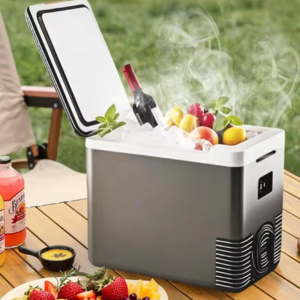 Portable 10L Car Refrigerator/Freezer/Heater