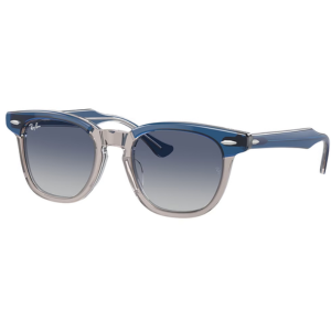 Ray-Ban Boy's Gradient Sunglasses