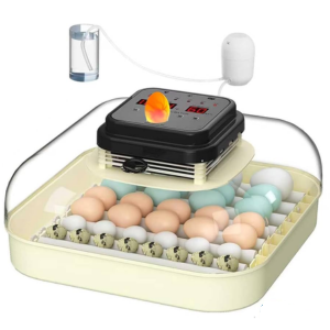Automatic 35-Egg Incubator
