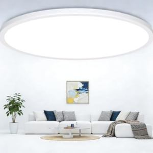 LED Flush Mount 20