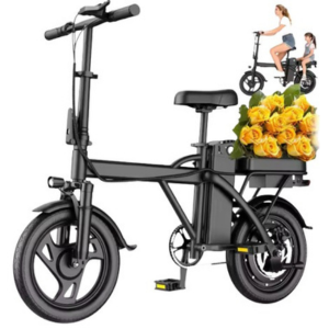 Ladped Foldable 14