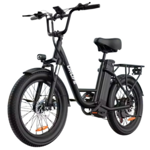 Fat Tire 1000W E20 eBike 7-Speed 48V