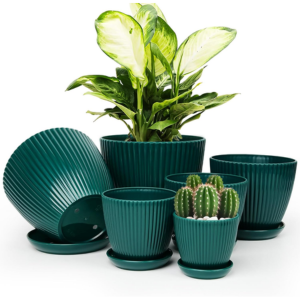 6-Pack Plant Pots