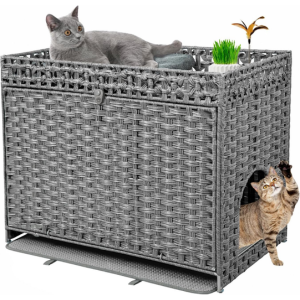 Cat Litter Box Enclosure