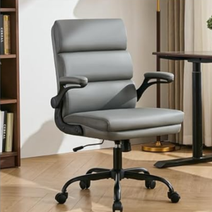 Ergonomic Adjustable Desk Chair