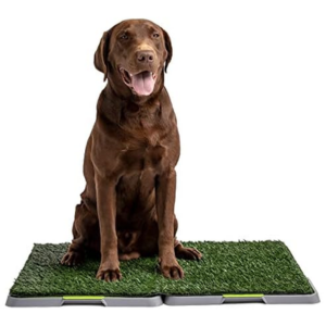 Pet 3-Layer 37