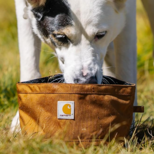 Carhartt 10-Cup Packable Dog Bowl