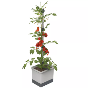 Self-Watering Tomato Planter w/Adjustable Stake