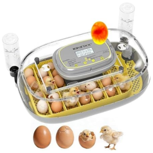 Automatic 24-Egg Incubator