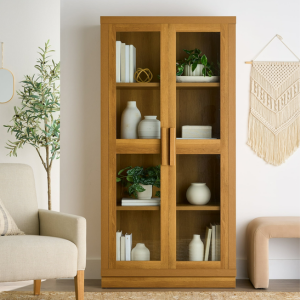 Glass Door Storage Accent Cabinet