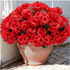 6-Piece Artificial Geranium Flowers