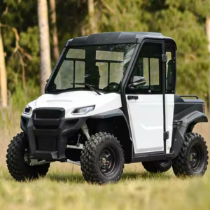 Two-Seater Enclosed Electric Off-Road UTV