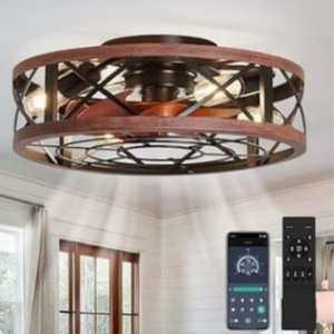 Caged 19'' Ceiling Fan w/Remote & App
