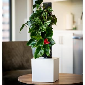 3-Tier Self-Watering Indoor Planter w/App