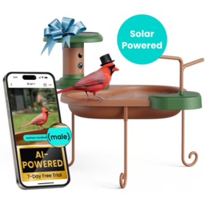 Birdfy Smart Bird Bath w/Camera & App